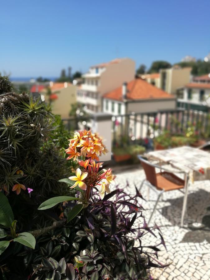Pensao Residencial Vila Teresinha Funchal  Eksteriør billede